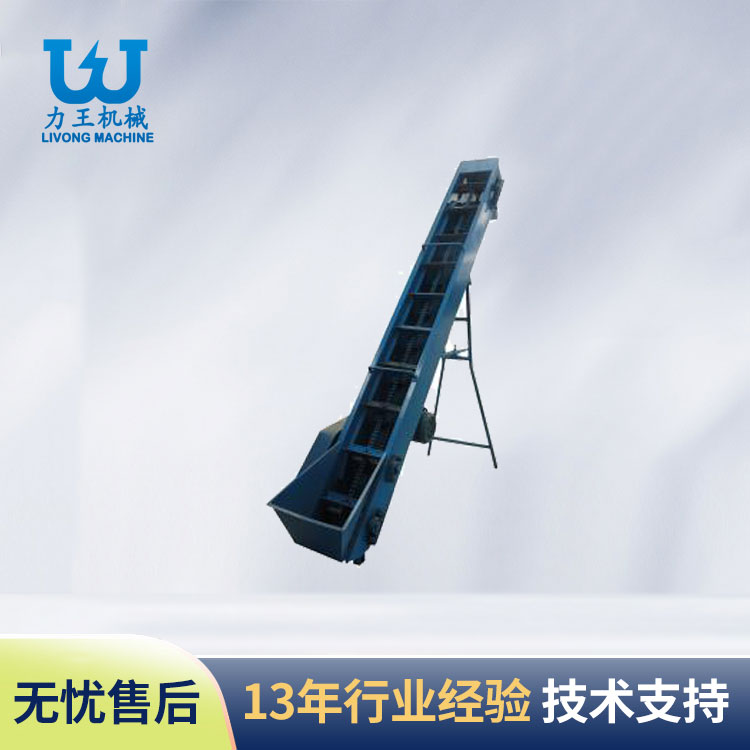 随州杏鲍菇输送机